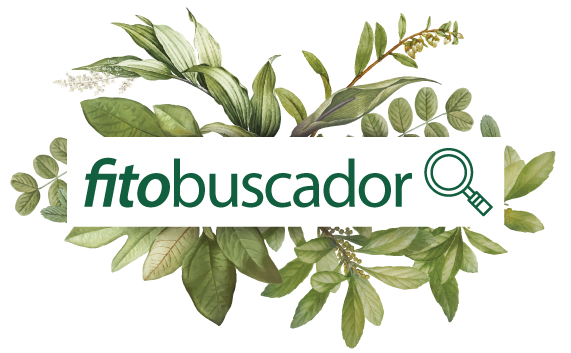 Fitobuscador